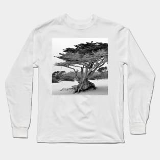 California Beach Tree Long Sleeve T-Shirt